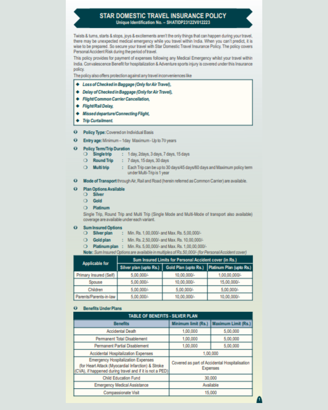 Domestic Travel Insurance Image 2